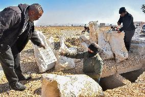 Mass Grave Found Near Damascus - Syria