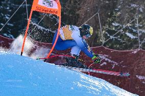 SPORT INVERNALI - Sci Alpino - AUDI FIS Ski World Cup - Downhill - Men