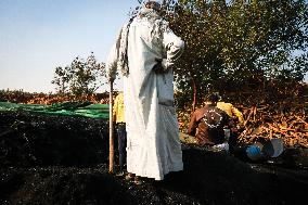 The Largest Traditional Coal Production Plants In Egypt