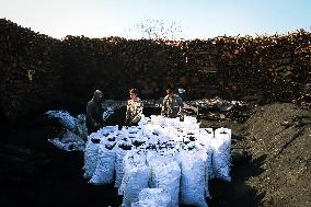 The Largest Traditional Coal Production Plants In Egypt