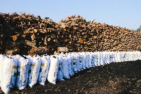 The Largest Traditional Coal Production Plants In Egypt