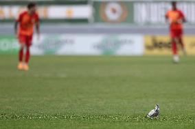 Birkirkara FC v Floriana FC - Malta 360 Sports Premier League