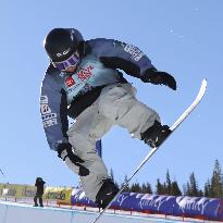 Snowboarding: World Cup