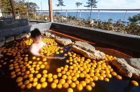 Yuzu bathing in Fukushima Pref.