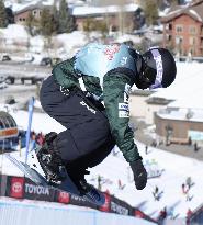 Snowboarding: World Cup