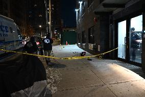 28-year-old Man Fatally Shot In West Farms Section Of Bronx New York City At 1295 Rodman Place