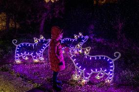 Lights And Installations In Alberobello