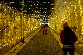 Lights And Installations In Alberobello