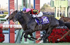 Horse racing: Arima Kinen