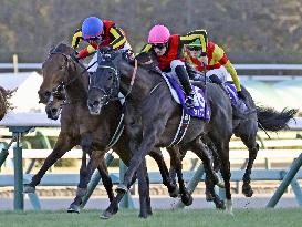 Horse racing: Arima Kinen