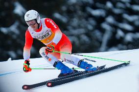 SPORT INVERNALI - Sci Alpino - AUDI FIS Ski World Cup - Giant Slalom - Uomini