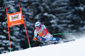 SPORT INVERNALI - Sci Alpino - AUDI FIS Ski World Cup - Giant Slalom - Uomini