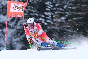 SPORT INVERNALI - Sci Alpino - AUDI FIS Ski World Cup - Giant Slalom - Uomini