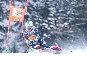 SPORT INVERNALI - Sci Alpino - AUDI FIS Ski World Cup - Giant Slalom - Uomini