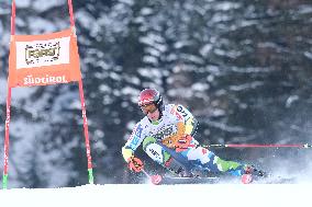 SPORT INVERNALI - Sci Alpino - AUDI FIS Ski World Cup - Giant Slalom - Uomini