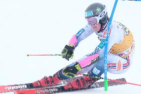 SPORT INVERNALI - Sci Alpino - AUDI FIS Ski World Cup - Giant Slalom - Uomini