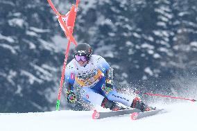 SPORT INVERNALI - Sci Alpino - AUDI FIS Ski World Cup - Giant Slalom - Uomini