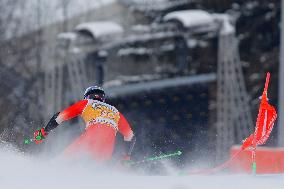 SPORT INVERNALI - Sci Alpino - AUDI FIS Ski World Cup - Giant Slalom - Uomini