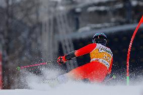 SPORT INVERNALI - Sci Alpino - AUDI FIS Ski World Cup - Giant Slalom - Uomini