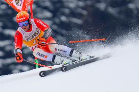 SPORT INVERNALI - Sci Alpino - AUDI FIS Ski World Cup - Giant Slalom - Uomini