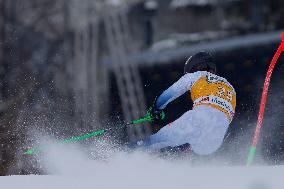 SPORT INVERNALI - Sci Alpino - AUDI FIS Ski World Cup - Giant Slalom - Uomini