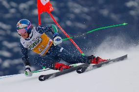 SPORT INVERNALI - Sci Alpino - AUDI FIS Ski World Cup - Giant Slalom - Uomini