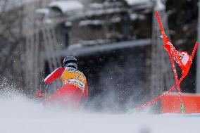 SPORT INVERNALI - Sci Alpino - AUDI FIS Ski World Cup - Giant Slalom - Uomini