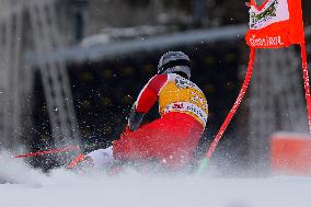 SPORT INVERNALI - Sci Alpino - AUDI FIS Ski World Cup - Giant Slalom - Uomini