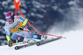 SPORT INVERNALI - Sci Alpino - AUDI FIS Ski World Cup - Giant Slalom - Uomini