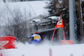 SPORT INVERNALI - Sci Alpino - AUDI FIS Ski World Cup - Giant Slalom - Uomini