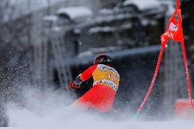 SPORT INVERNALI - Sci Alpino - AUDI FIS Ski World Cup - Giant Slalom - Uomini