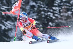 Giant Slalom - Audi FIS Alpine Ski World Cup - Italy