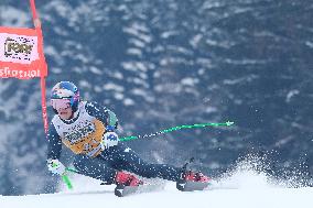 Giant Slalom - Audi FIS Alpine Ski World Cup - Italy