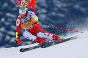 Giant Slalom - Audi FIS Alpine Ski World Cup - Italy