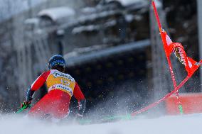 Giant Slalom - Audi FIS Alpine Ski World Cup - Italy