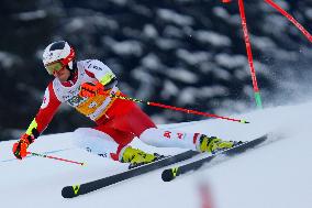 Giant Slalom - Audi FIS Alpine Ski World Cup - Italy