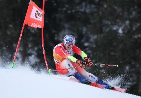 SPORT INVERNALI - Sci Alpino - AUDI FIS Ski World Cup - Giant Slalom - Uomini