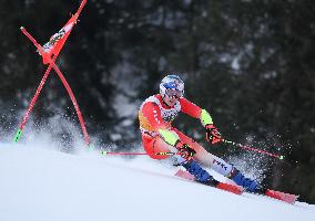 SPORT INVERNALI - Sci Alpino - AUDI FIS Ski World Cup - Giant Slalom - Uomini