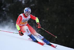 SPORT INVERNALI - Sci Alpino - AUDI FIS Ski World Cup - Giant Slalom - Uomini