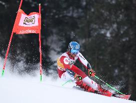 SPORT INVERNALI - Sci Alpino - AUDI FIS Ski World Cup - Giant Slalom - Uomini