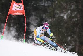 SPORT INVERNALI - Sci Alpino - AUDI FIS Ski World Cup - Giant Slalom - Uomini