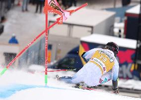 SPORT INVERNALI - Sci Alpino - AUDI FIS Ski World Cup - Giant Slalom - Uomini