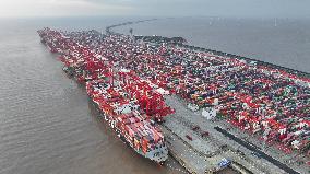 Shanghai Port Container Annual Throughput Exceeded 50 Million TEU