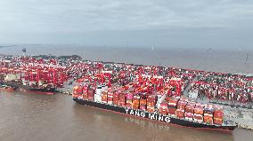 Shanghai Port Container Annual Throughput Exceeded 50 Million TEU