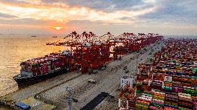 Shanghai Port Container Annual Throughput Exceeded 50 Million TEU