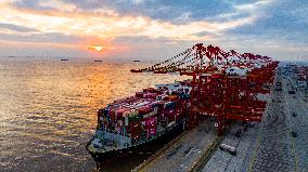 Shanghai Port Container Annual Throughput Exceeded 50 Million TEU