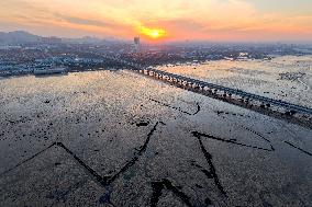 Jiaozhou Bay cross-sea Bridge in Qingdao