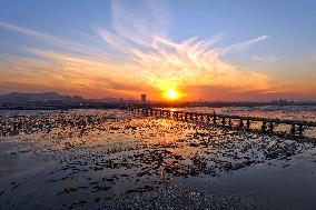 Jiaozhou Bay cross-sea Bridge in Qingdao