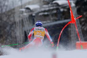 Audi FIS Alpine Ski World Cup - Men's Giant Slalom - 1-30