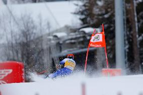 Audi FIS Alpine Ski World Cup - Men's Giant Slalom - 1-30